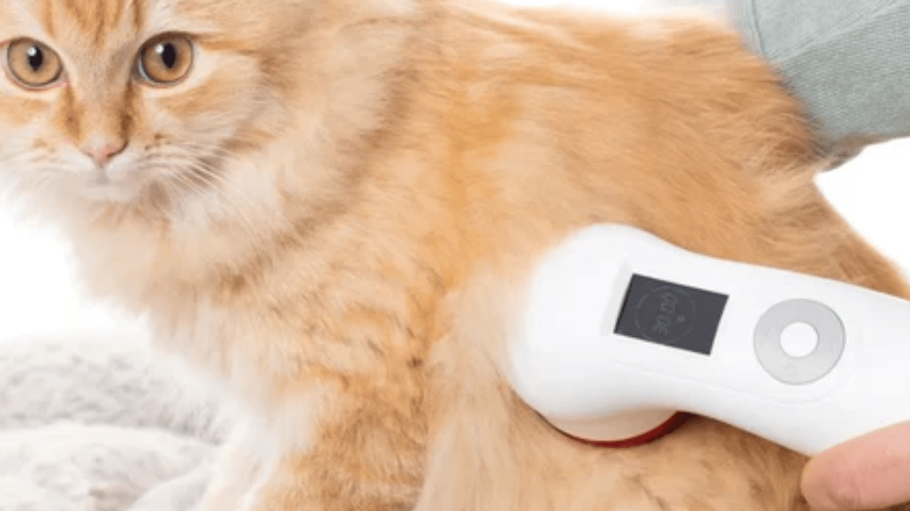 What Are The Restrictions on Laser Therapy?