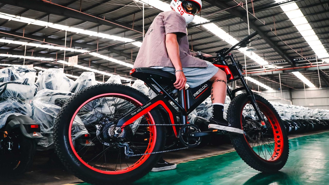 MEELOD XT600DL vs. BIKTRIX Juggernaut Lite: Two Tough Fat Tire E-Bikes