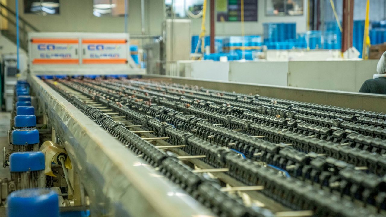 What Questions Reveal Whether a Timing Belt Supplier Actually Manufactures or Just Resells