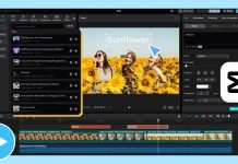 How AI Video Tools Help to Save Time and Increase Engagement in Reel Generation